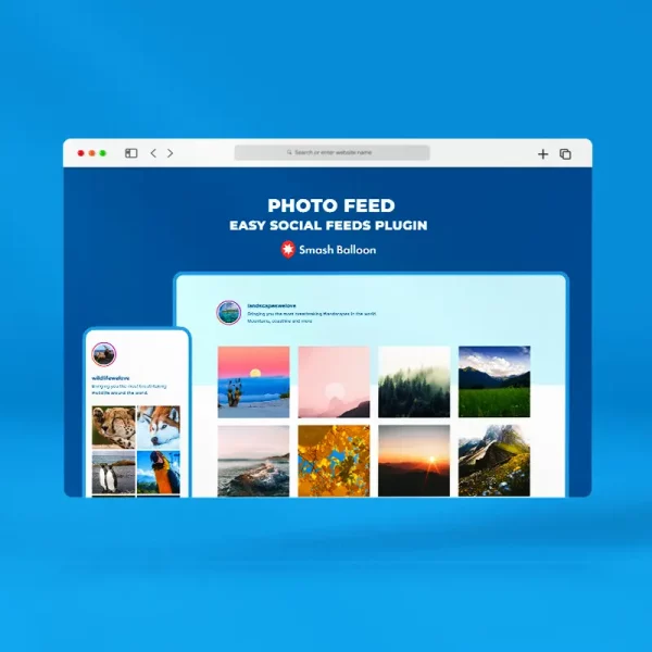 BIGsales Smash Balloon Social Photo Feed – Plugin simples de feeds sociais