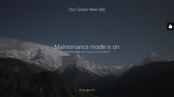 BMP - BIGsales Maintenance Plugin - Image 2