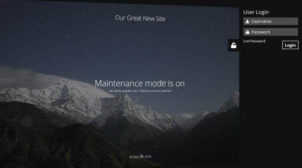BMP - BIGsales Maintenance Plugin - Image 3